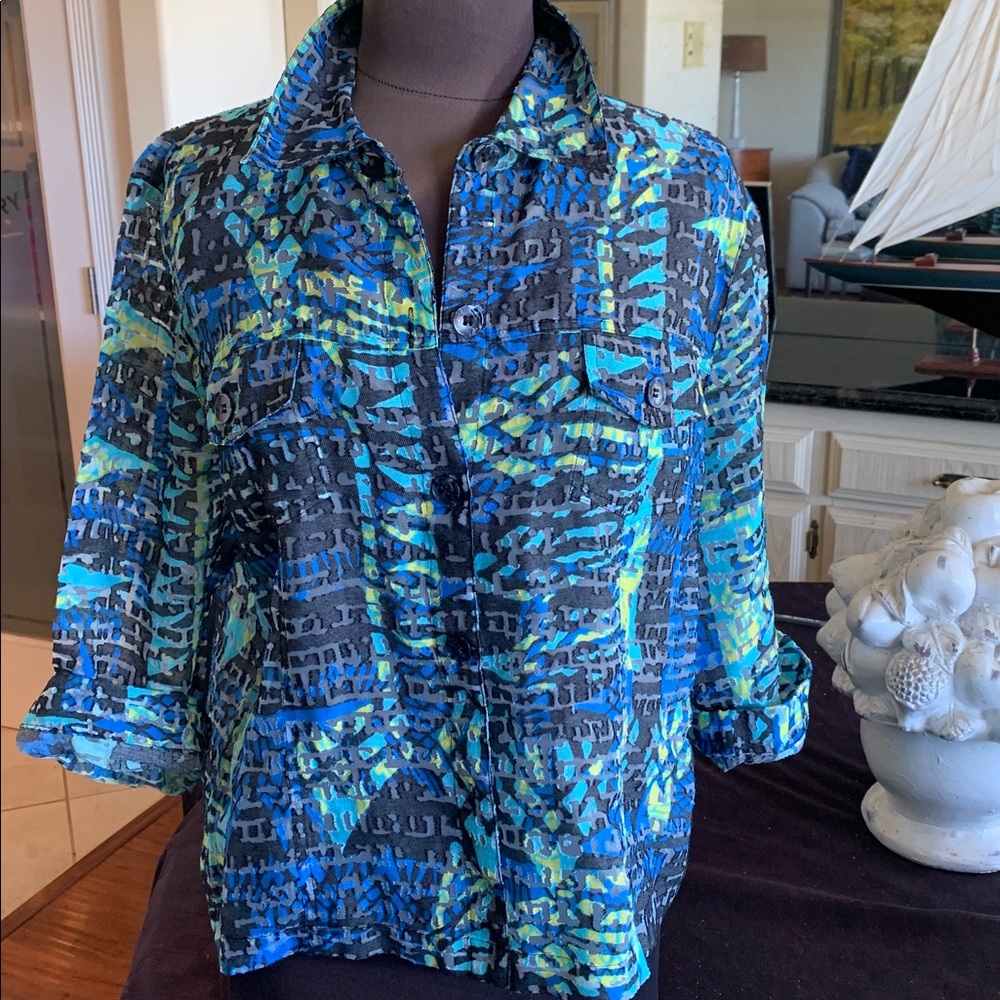 Draper's & Damon's Sheer Patterned Blouse